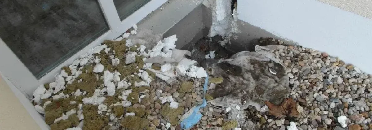 seniorenzentrum-heidesee-4